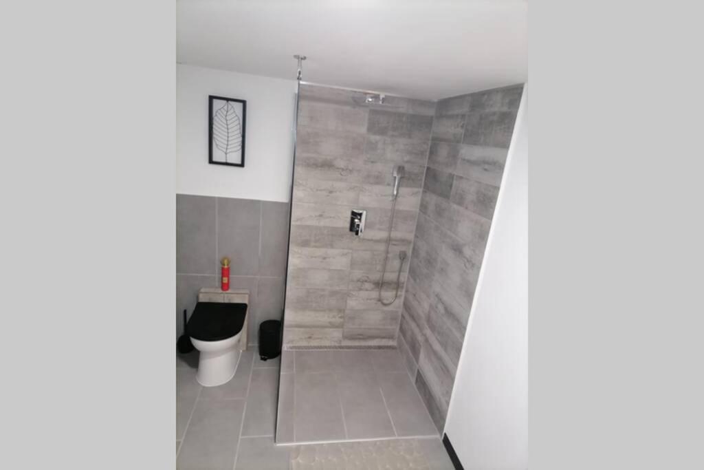 Maison 50 Nuances De Bresse Saint-Didier-en-Bresse Eksteriør billede